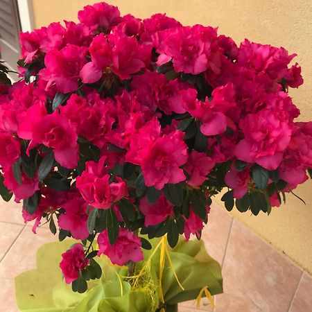 אסראלה Adriana Casa Vacanze Mare Etna Sicilia מראה חיצוני תמונה